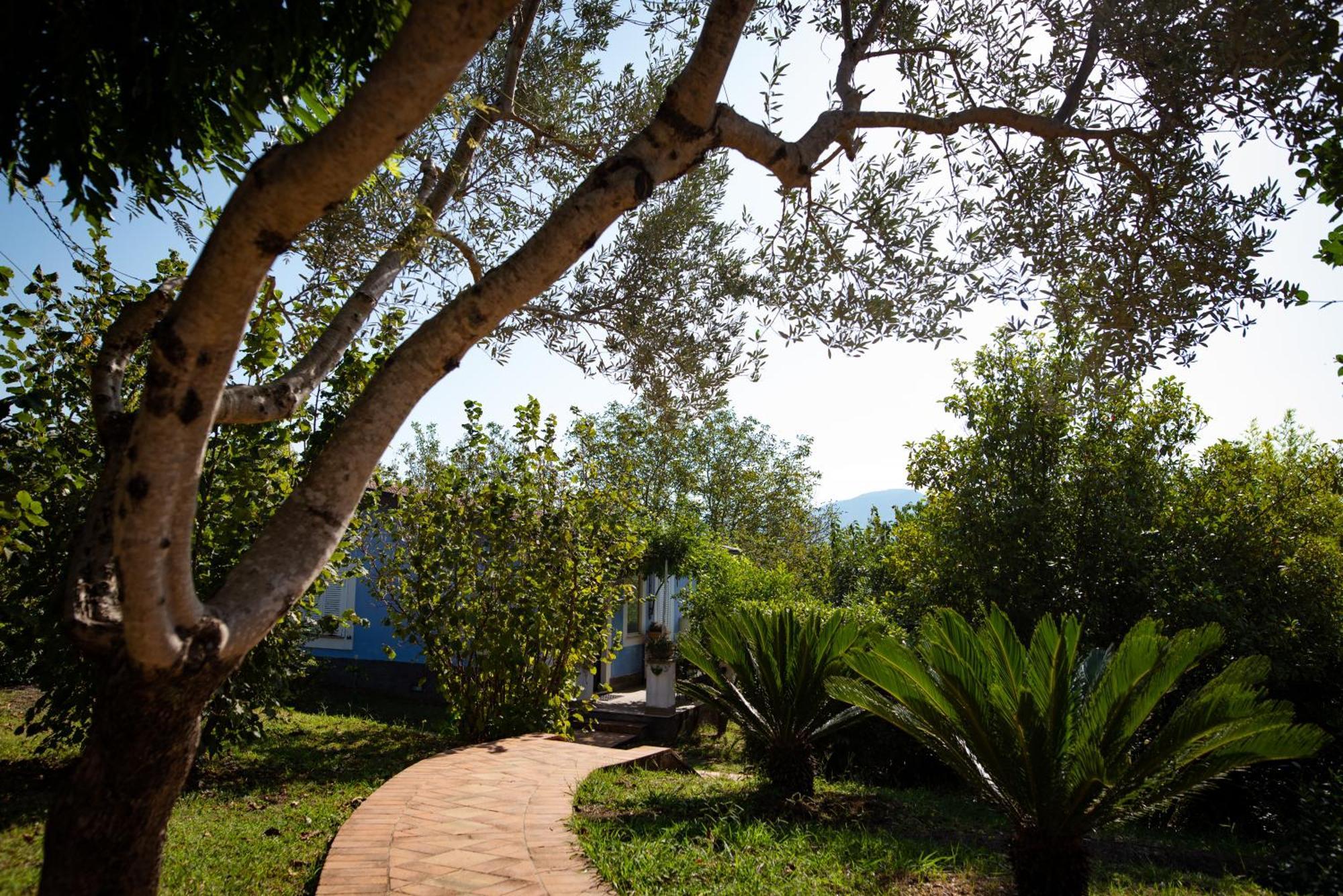 Hotel Villa Rizzo Resort And Spa San Cipriano Picentino Εξωτερικό φωτογραφία